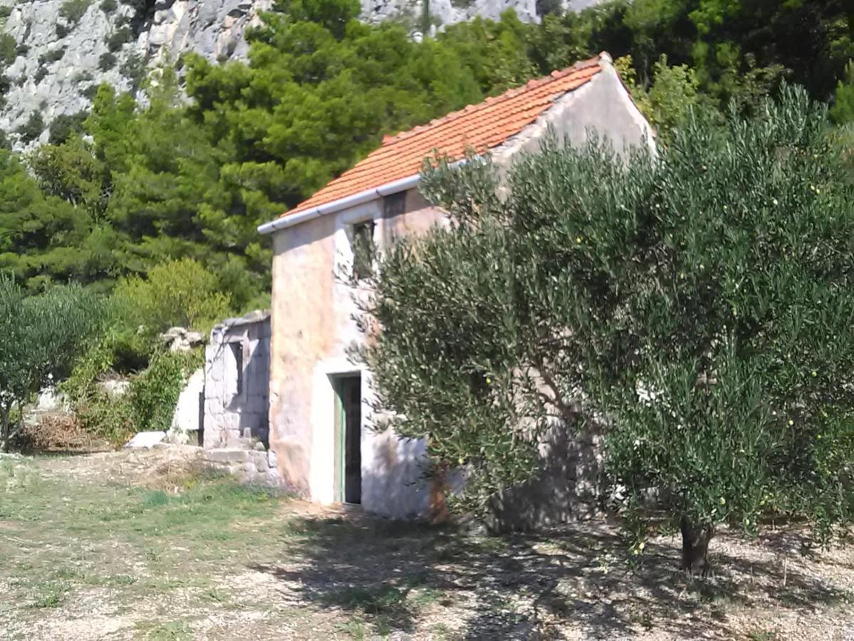 Appartamento Zorana Mimice Esterno foto